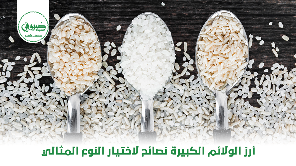 أرز الولائم الكبيرة نصائح لاختيار النوع المثالي